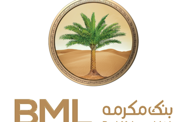 BML Emerging as One of The Best-Performing Banking Stocks on PSX