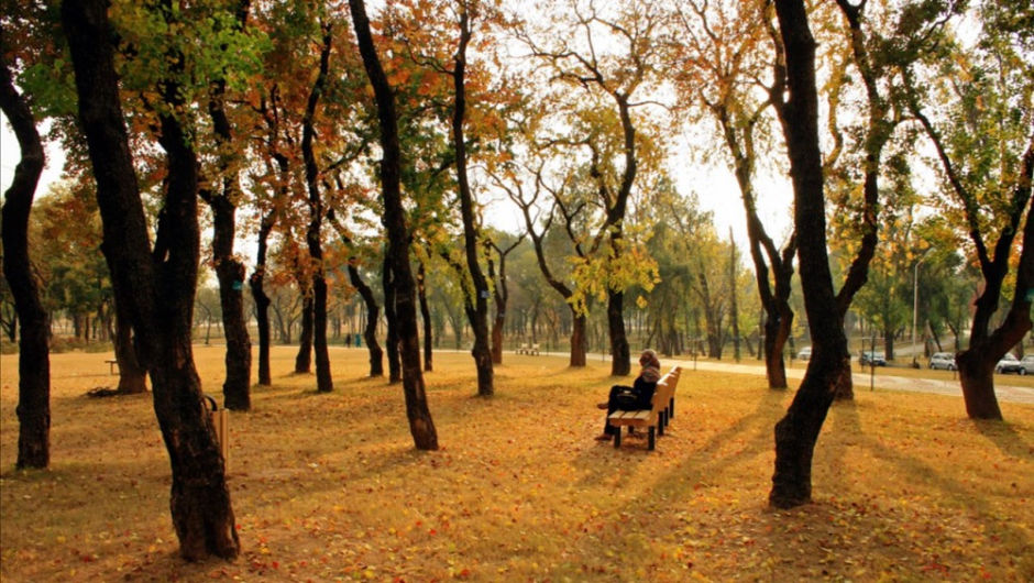 December 2025 Ranked Seventh Warmest in Pakistan Over the Last 65 Years, Says PMD