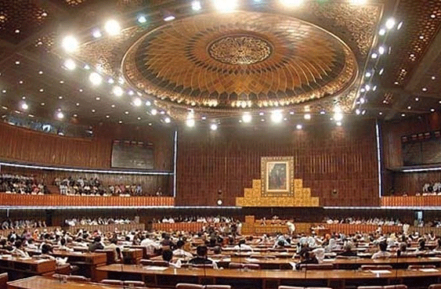 Parliament Passes Key Human Rights and Domestic Violence Bills Amid Opposition Protests