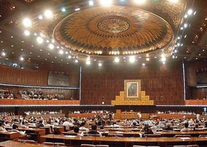 Parliament Passes Key Human Rights and Domestic Violence Bills Amid Opposition Protests