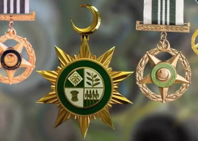 PM Shehbaz Sharif Announces Civil Awards for 16 Overseas Pakistanis