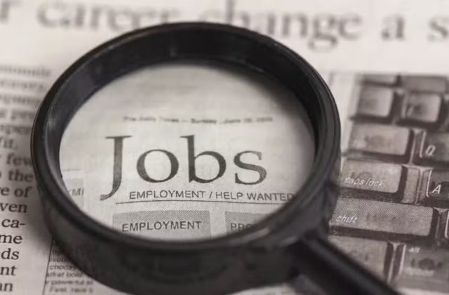 Government Plans to Send 800,000 Pakistanis Abroad for Employment