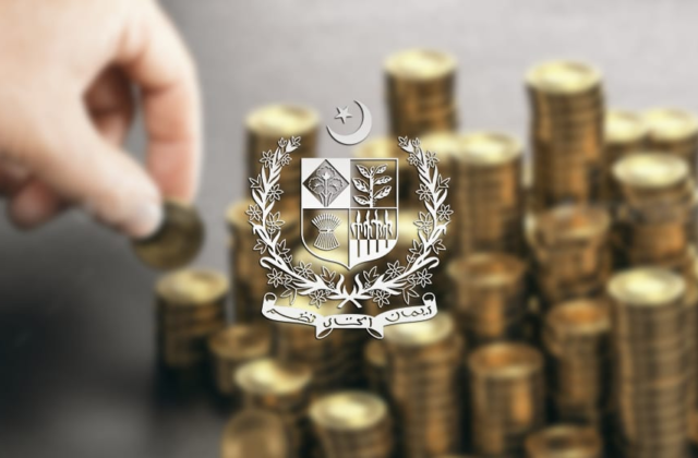 Govt Reclassifies SMEDA as Energy SOE Accounting Relief Proposal Faces Delay