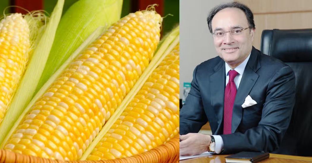 Finance Minister Backs Plan to Bring Locally Developed GM Corn to Pakistan’s Market