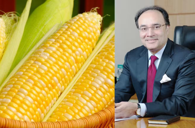 Finance Minister Backs Plan to Bring Locally Developed GM Corn to Pakistan’s Market